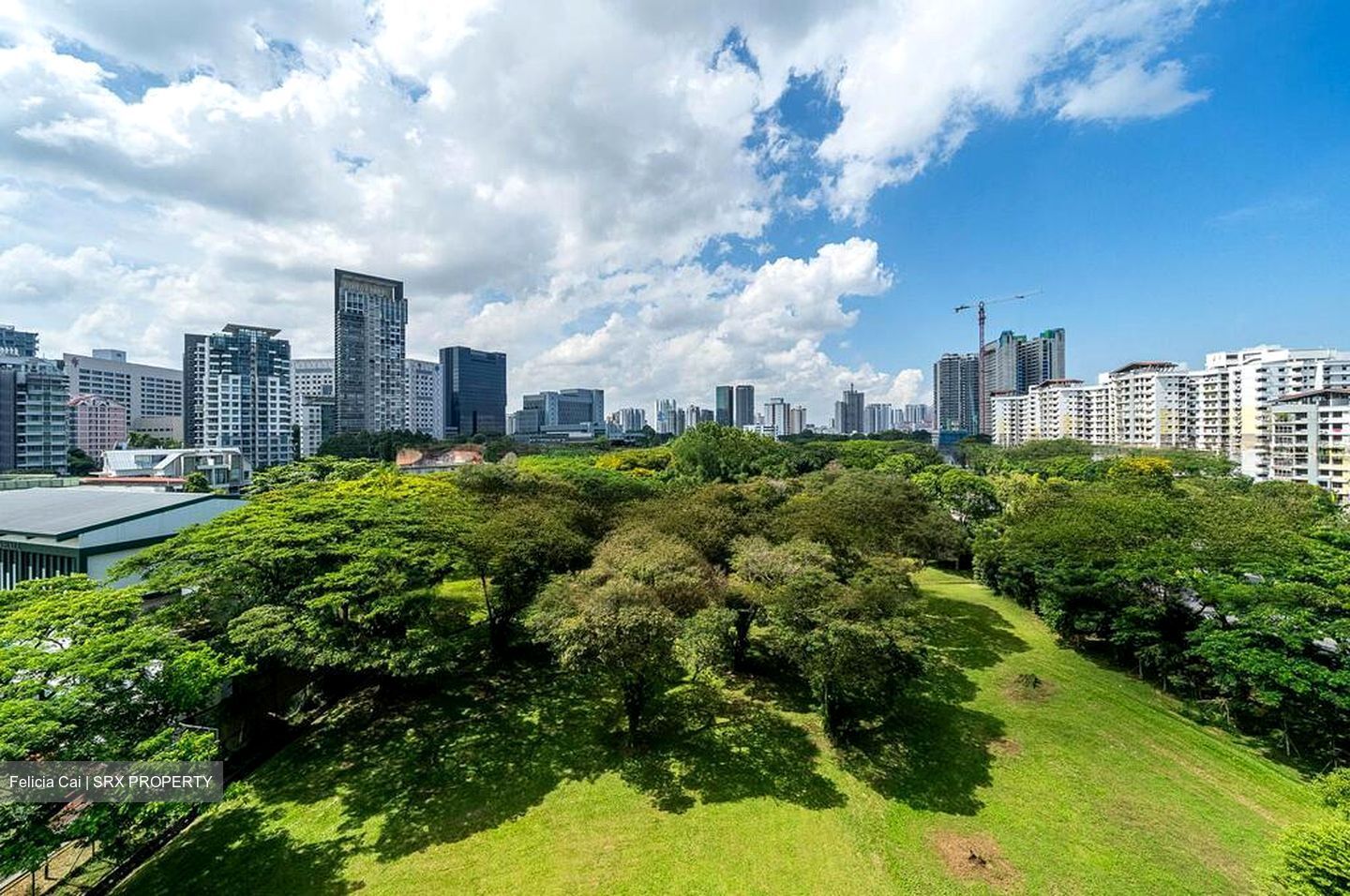 6 Derbyshire (D11), Condominium #490905121